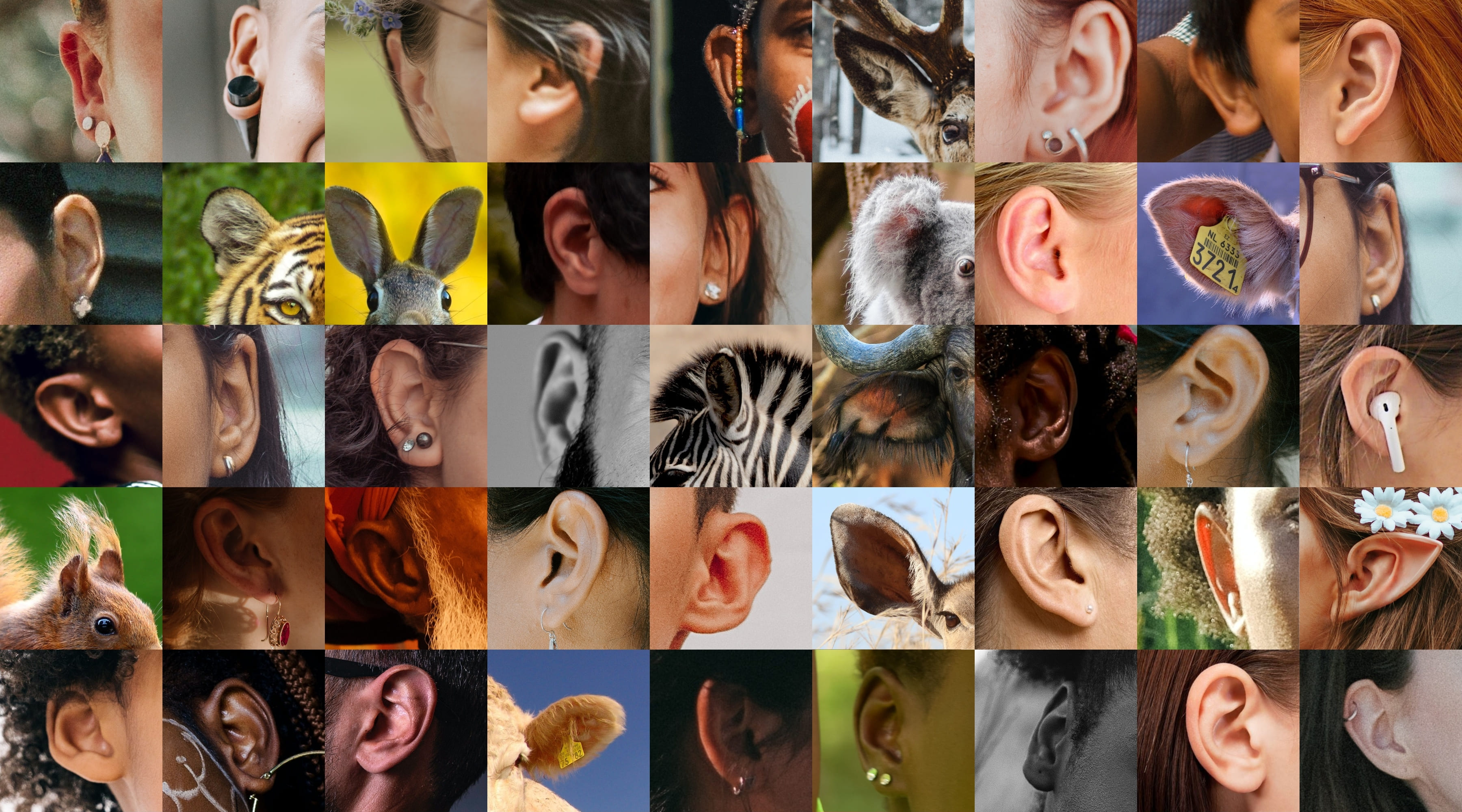 Akustiker in der Nähe, hier in Bielefeld-Schildesche